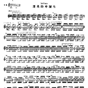 漂亮的枣骝马 冬不拉