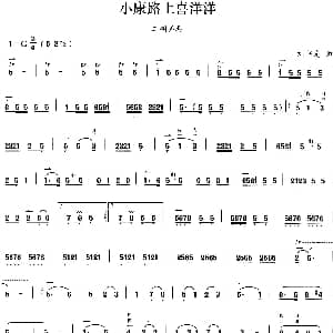二胡谱 | 小康路上喜洋洋 刘书先