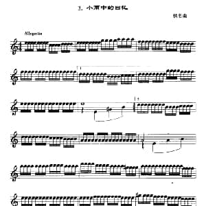 小雨中的回忆 口风琴谱