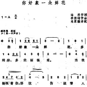 你好象一朵鲜花 匈 _外国歌谱_词曲:海涅作词 尚家骧译配 李斯特