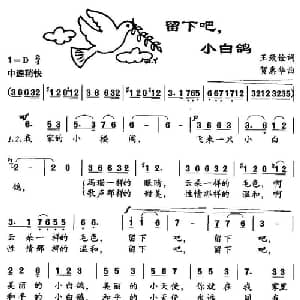 留下吧,小白鸽_儿歌乐谱_词曲:王致铨 贺惠华