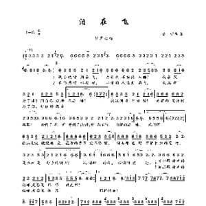 泪在飞_歌曲简谱_词曲:安宁 安宁
