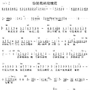 你是我的玫瑰花 吉他谱 庞龙