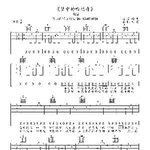 梦中的哈德森_歌曲简谱_词曲:赵雷 赵雷