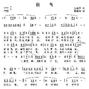候鸟_歌曲简谱_词曲:王福信 杨柏涛