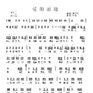 爱的痕迹_歌曲简谱_词曲:天子俊 枫桥