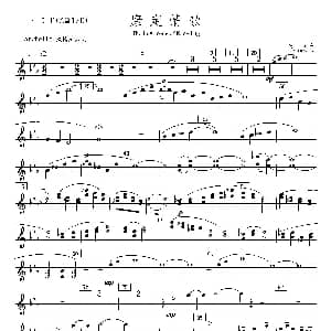 长笛曲谱 | 康定情歌 第一.二长笛分谱 陈丹 编曲