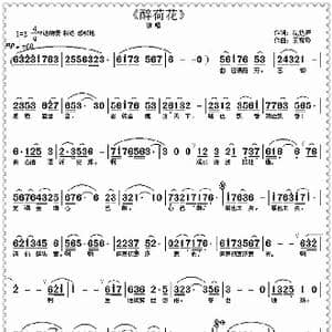 醉荷花_歌曲简谱_词曲:沈达声 王雪玲