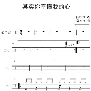 其实你不懂我的心 架子鼓谱 陈桂珠 童安格
