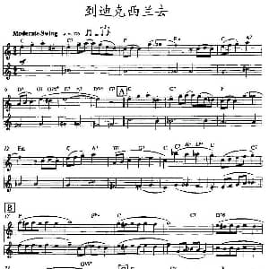 长笛曲谱 | 到迪克西兰去 双长笛