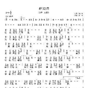 醉知音_歌曲简谱_词曲:徐子淳 徐子淳