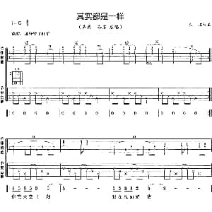 其实都是一样 吉他谱 齐秦 齐豫