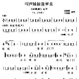 湖剧 叫声妹妹张翠贞 姚麒麟 选段 生 旦对唱 张素娟 许丽娟