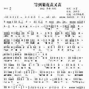 等到菊花黄又黄_歌谱投稿_词曲:惊雷 张新合