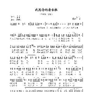 我思念的唐古拉_歌曲简谱_词曲:王跃 赵伶俐