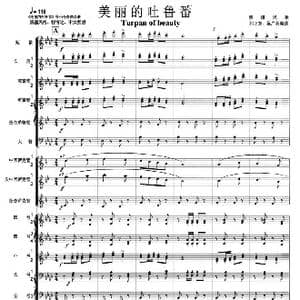 美丽的吐鲁番 军乐总谱 线01 05_歌曲简谱_词曲: 祁卫东,梁广程编曲