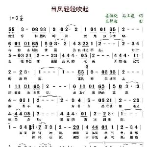 当风轻轻吹起_通俗唱法乐谱_词曲:姜凯旋 马正建 孟祥波