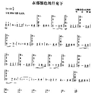 扬琴谱 | 在那银色的月光下