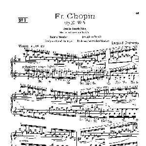 53首以肖邦练习曲为素材而作的练习曲 钢琴谱 里奥鲍尔德 戈多夫斯基