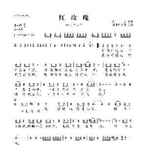 ​红玫瑰_歌曲简谱_词曲:廖勇 廖勇