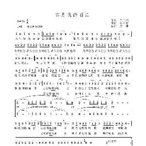 你是我的丽江_歌曲简谱_词曲:生吉俐 杨洪波
