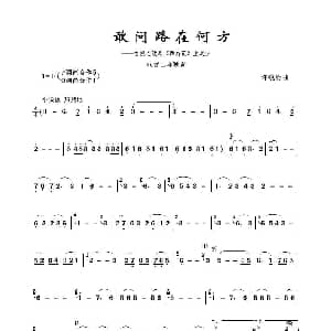 敢问路在何方 双管巴乌 许镜清