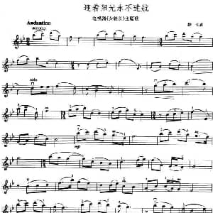 小提琴谱 | 迎着阳光永不迷航 电视剧 女船长 主题歌 雄达