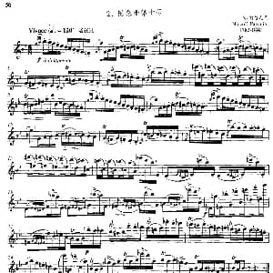 长笛曲谱 | 中高级练习 装饰音吹奏练习 乐曲部分 随想曲第十号 N 帕格尼尼