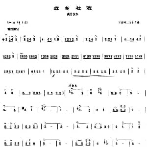 故乡社戏 高音板胡