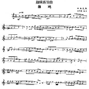 趣味练习曲 海鸥 娄润良
