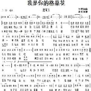 我是你的格桑花_歌曲简谱_词曲:王琪 王琪