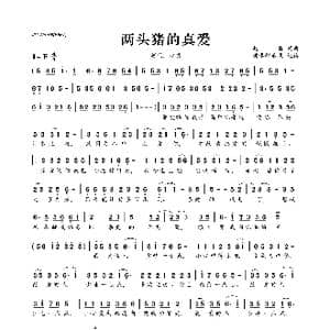 ​两头猪的真爱_歌曲简谱_词曲:赵真 赵真