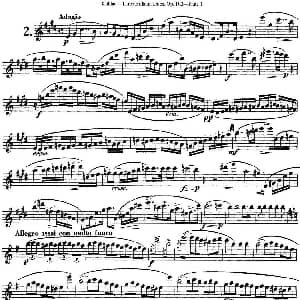 长笛曲谱 | 库劳长笛二重奏练习三段OP.102 Flute 1 NO.2 Kuhlau 库劳