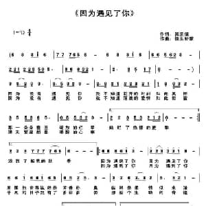 因为遇见了你_通俗唱法乐谱_词曲:吴宗信 快乐好歌