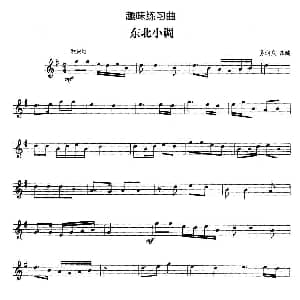 趣味练习曲 东北小调