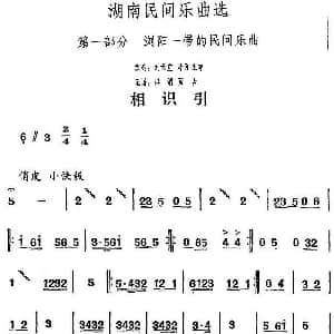 相识引 湖南民间乐曲选 洪滔 贾古记谱