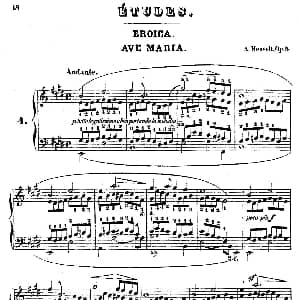 Douze Etudes de Salon Op.5 钢琴谱 阿道夫 冯 亨赛尔特