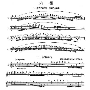长笛曲谱 | 长笛六级考级曲谱