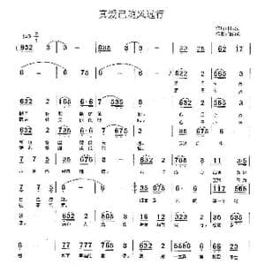 真爱随风远行_歌曲简谱_词曲:付云青 储向前