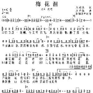 梅花泪_歌曲简谱_词曲:刘海东 刘亦敏