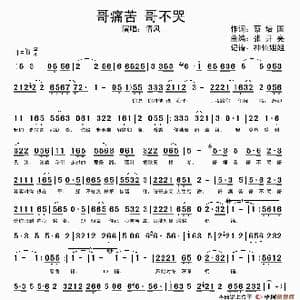 哥痛苦 哥不哭_歌谱投稿_词曲:蔡培国 张开亮
