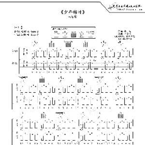 少年锦时_歌曲简谱_词曲:赵雷 赵雷
