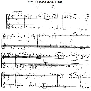 小提琴谱 | 霍曼 小提琴基础教程 选曲 小鸟 二重奏