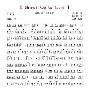 shiroi kobito tachi_歌谱投稿_词曲:佚名 佚名
