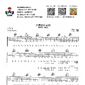 青春无处安放 吉他谱 赵雷 赵雷 赵雷