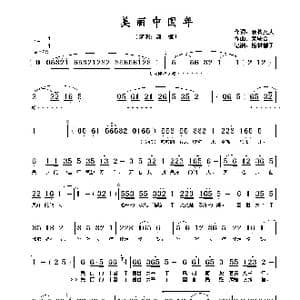 美丽中国年_歌谱投稿_词曲:晚秋女人 荣联合