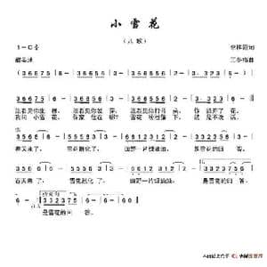 小雪花_歌谱投稿_词曲:李桂霞 王冬梅