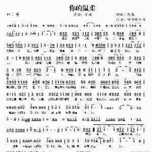 你的温柔_歌谱投稿_词曲:陈伟 陈伟