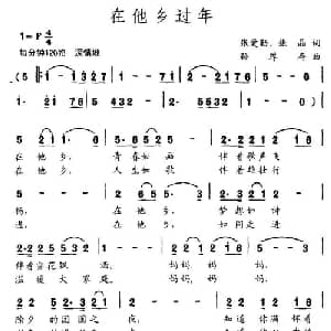 在他乡过年_通俗唱法乐谱_词曲:张爱勤 孙厚存