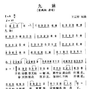九妹_通俗唱法乐谱_词曲:王云好